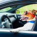 Tipps für die Autoreise mit Hund